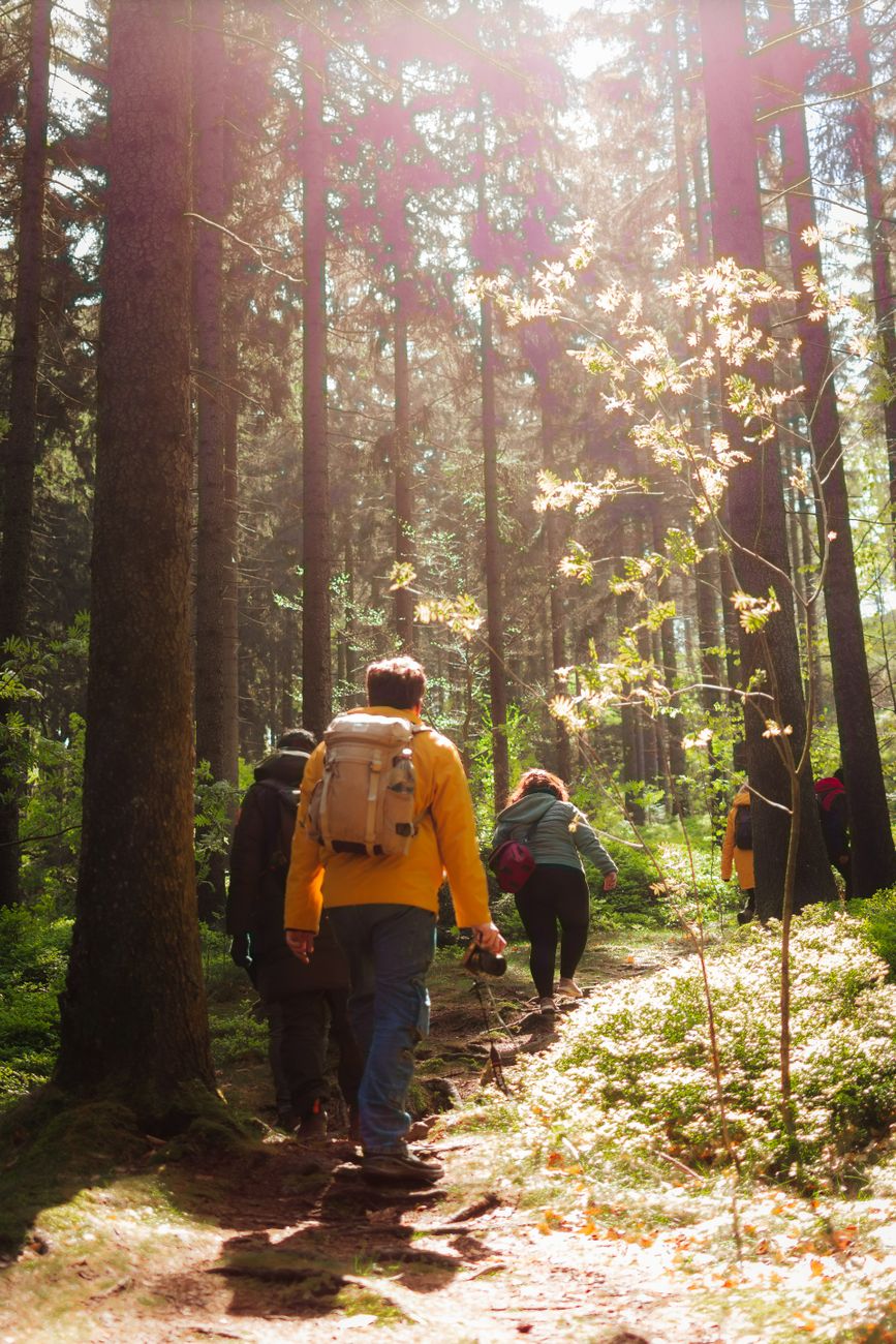 The Secret Benefits of -Walking